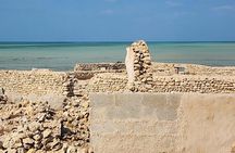 Private Half Day Tour in the North of Qatar