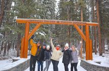 Explore Banff National Park with Our Premium Day Tour