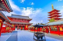 2-Day Private Tokyo MT Fuji Hakone Sightseeing Tour with Guide
