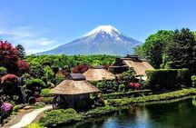 2-Day Private Tokyo MT Fuji Hakone Sightseeing Tour with Guide