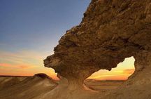 Full Day Tour to Qatar North And West With Pickup From Doha