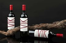 Private Colchagua VIK and Montes Wineries Experience