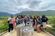 Private Colchagua VIK and Montes Wineries Experience