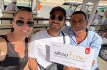 Private Luxor Guided — Valley of the Kings, Karnak & more FullDay