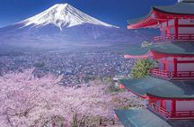  Mt. Fuji & Hakone VIP One Day Tour With Pick-up & Drop-off 