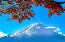  Mt. Fuji & Hakone VIP One Day Tour With Pick-up & Drop-off 