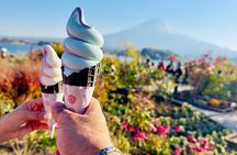  Mt. Fuji & Hakone VIP One Day Tour With Pick-up & Drop-off 