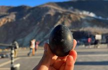  Mt. Fuji & Hakone VIP One Day Tour With Pick-up & Drop-off 