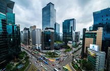 Small Group Tour: Seoul Tour by Subway Line 2 - Circular Line