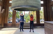 Nara Day Trip from Kyoto: Customized Tour, Licensed Guide