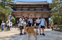Full Day Nara E bike Tour and Osaka History Food Tour