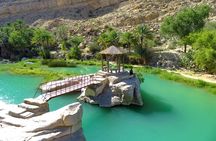 2 Day Private Trip to Two Oasis with Overnight Desert Camping 