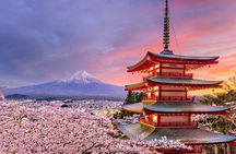 2-Day Private Tokyo MT Fuji Hakone Sightseeing Tour with Guide