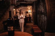 Etna Urban Winery - Tasting with Street Food Platter and vineyard