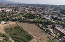 Etna Urban Winery - Tasting with Street Food Platter and vineyard