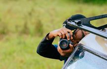 One Day Private Tour to Akagera National Park from Kigali