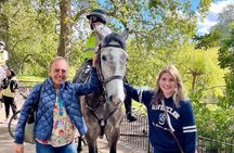 Private Tour Best of London, Tower of London &Churchill War Rooms