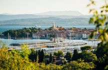 Hop and Taste Slovenia Hop on-Hop off / Hop & Taste