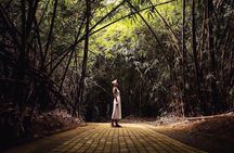 Eastern Bali and Besakih Temple Tour