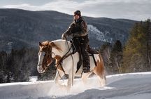 Guided Horse Riding in the Bay of Saint Paul Valley