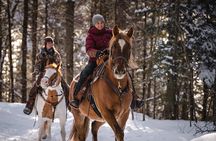 Guided Horse Riding in the Bay of Saint Paul Valley