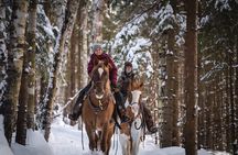 Guided Horse Riding in the Bay of Saint Paul Valley