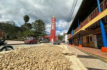 Coffee Region Andes Mountains: Coffee Tour, Pijao & Buenavista