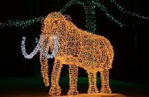 From Toronto:Winter Festival of Lights Niagara Falls Evening Tour