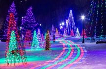 From Toronto:Winter Festival of Lights Niagara Falls Evening Tour