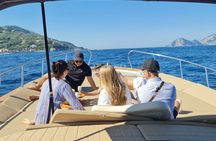 From Sorrento: Capri Small Group Boat Day Tour