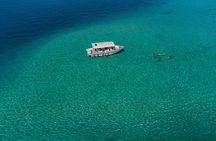 Discovery of the ocean and guided snorkeling in Tahiti