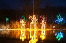From Toronto:Winter Festival of Lights Niagara Falls Evening Tour