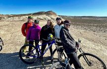 Mountain Biking and Sea Lion Watching in Puerto Madryn