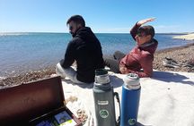 Mountain Biking and Sea Lion Watching in Puerto Madryn