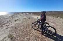 Mountain Biking and Sea Lion Watching in Puerto Madryn