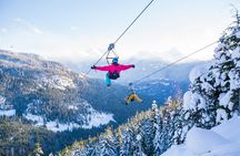 Superfly Ziplines on Cougar Mountain - includes 4 ziplines!