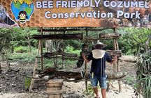 Cozumel: Bee Farm + Honey & Chocolate Tasting + Sightseeing