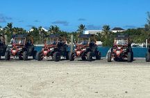 Famous East Island UTV Tour 