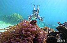 Phu Quoc: Discovery Snorkeling Tour with Island BBQ (Max 12 pax)