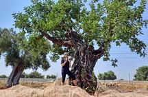 e-Bike tour from Monopoli to the rocky village of S. Andrea 