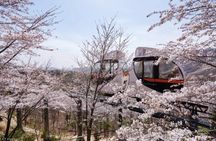 From Seoul : Hwadamsup Garden Entrance Ticket with Shuttle Bus