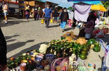 Historical Tour in Teotitlan del Valle 