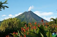 Hanging Bridges + Volcano Walk + La Fortuna Waterfall