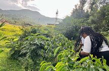 1 day Lake Kivu Adventure, Scenic Hike & Coffee Plantation Tour