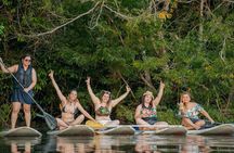 Mangrove Paddle Ride Sainte Anne Guadeloupe