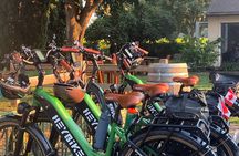 Kelowna Wine Tour by E-bike, Okanagan Valley Views and Lunch