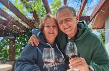 Kelowna Guided E-Bike Wine Tour with Tastings and Okanagan Lunch