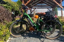 Kelowna E-Bike Bee Tour, Tastings, Organic Lunch & Audio Guide