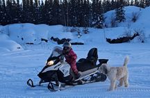 Guided Snowmobile Adventure