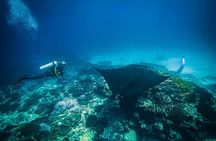 Diving in Nusa Penida